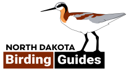 North Dakota Birding Guides