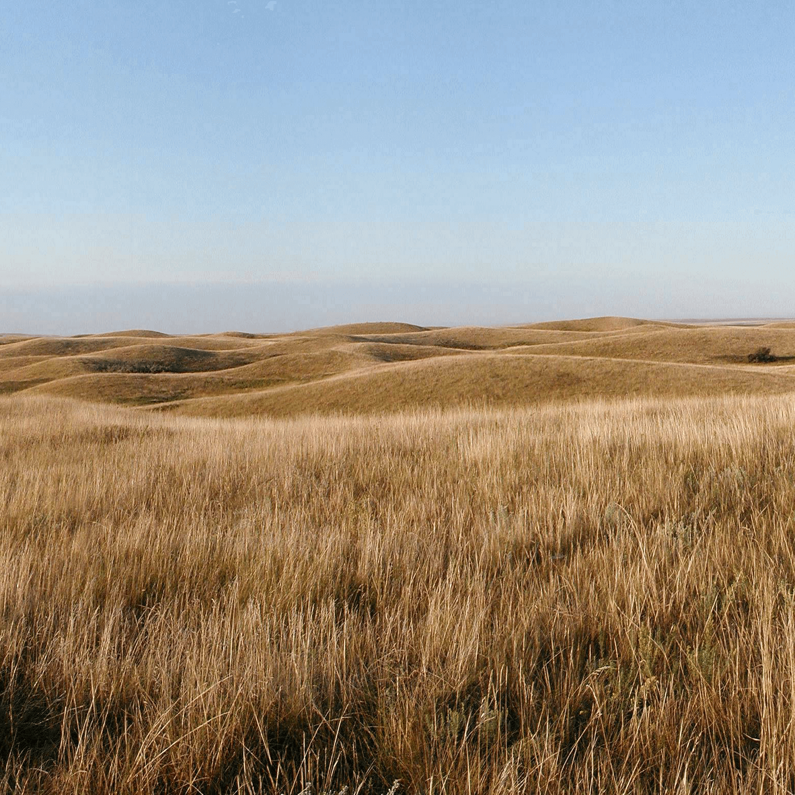 North Dakota Native Prairie fotor 20240919132226 2